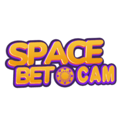 minneapolis star tribune sudoku
